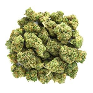 Toad Venom - 14 Gramm - Indica